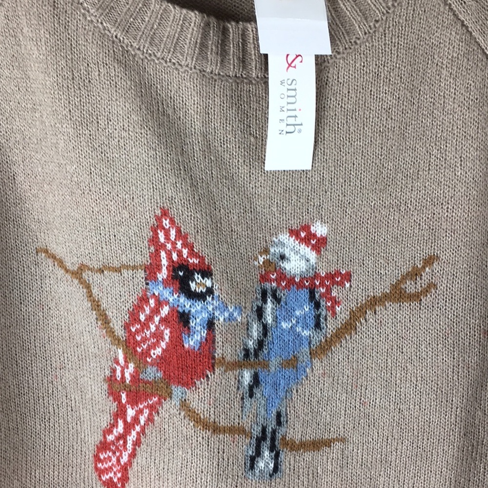 NWT Sz 1X Hasting and Smith sweater B40